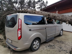 Kisbusz tetejére dőlt fenyő