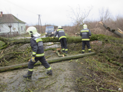 Az úton keresztben fekvő fát távolítanak el a tűzoltók