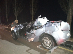 Fa által összeroncsolt autó éjszakai fényképen