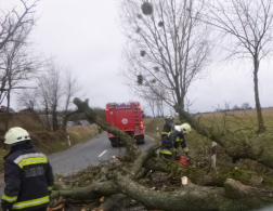 Utat eltorlaszoló, kidőlt fát darabolnak a tűzoltók