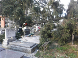 Temetőben kidőlt, sírokat megrongáló fát távolítanak el a tűzoltók