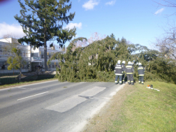Kétszer egysávos utat teljes szélességében elzáró, kidőlt fát darabolnak a tűzoltók