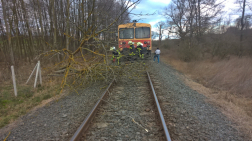 	Kisvonat elé dőlt fát távolítanak el a tűzoltók a sínekről