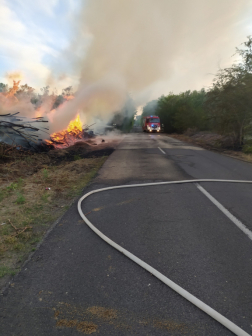 Katasztrófavédelem