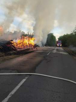 Katasztrófavédelem