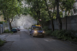 Földi szúnyoggyérítést végeznek a szakemberek