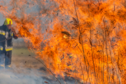 Tűz, nádastűz, ellentűz – a szabadtéri tüzek oltását gyakorolták Mórahalomnál