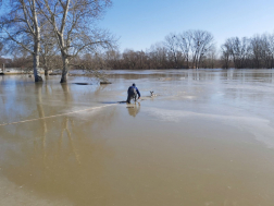 	Már több mint kétszázötven esethez vonultak a tolcsvai tűzoltók