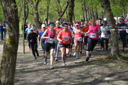 Csaknem ötszáz résztvevő érkezett az Országos Terepfutó Bajnokságra a Heves megyei Felsőtárkányba.